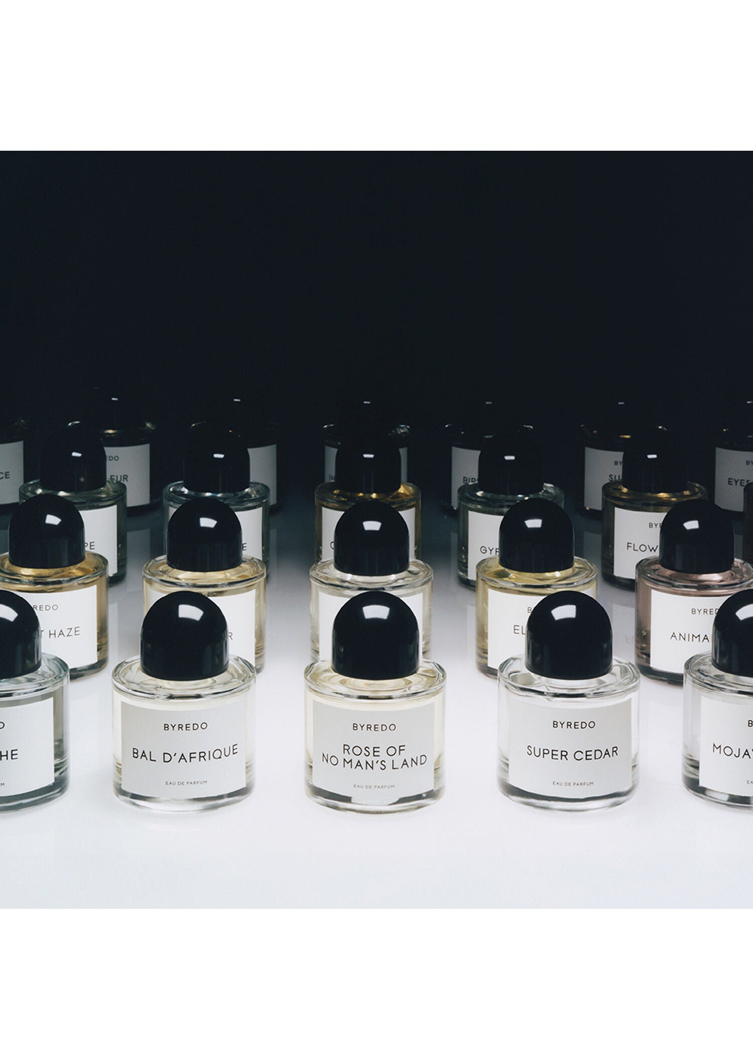 Mojave Ghost EDP 100 ml Parfüm