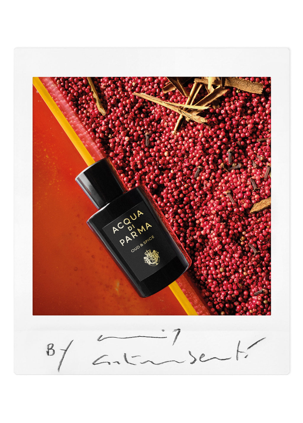 Sıgrnature Oud&Spıce Edp 100 ml