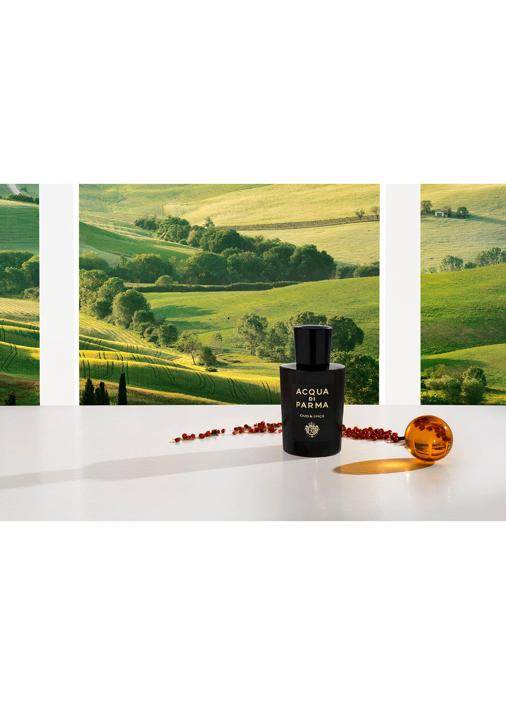 Sıgrnature Oud&Spıce Edp 100 ml