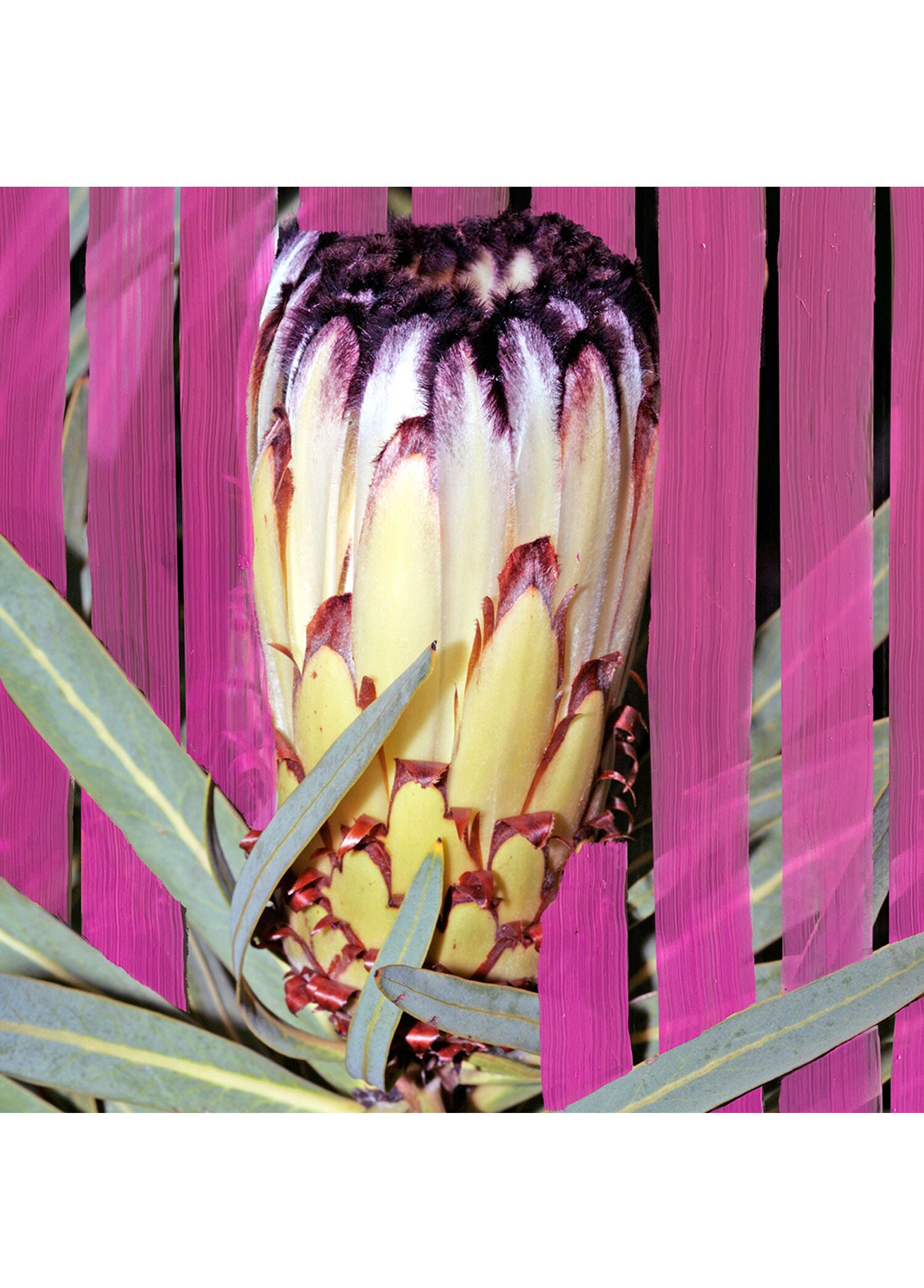 Inflorescence EDP 100 ml Kadın Parfüm