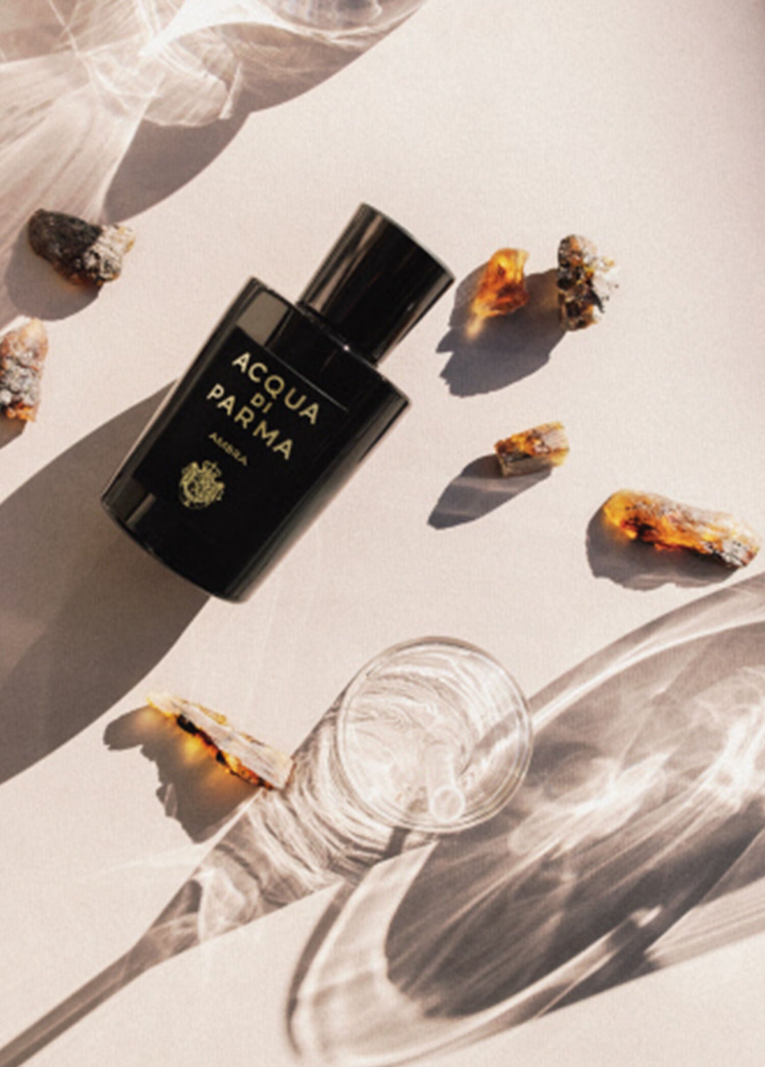 Signature Ambra EDP 100 ml Parfüm