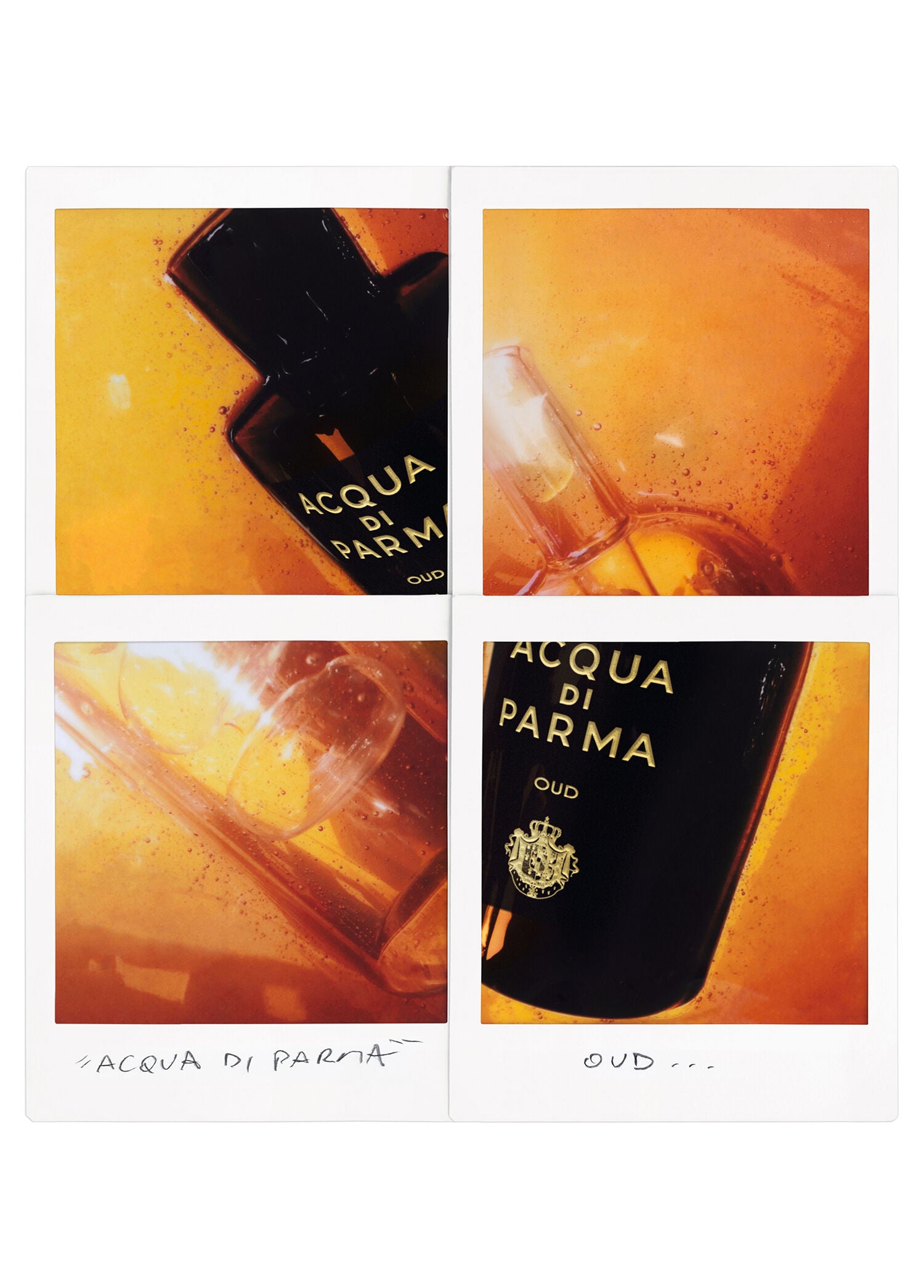 Sigrnature Oud EDP 100 ml Parfüm