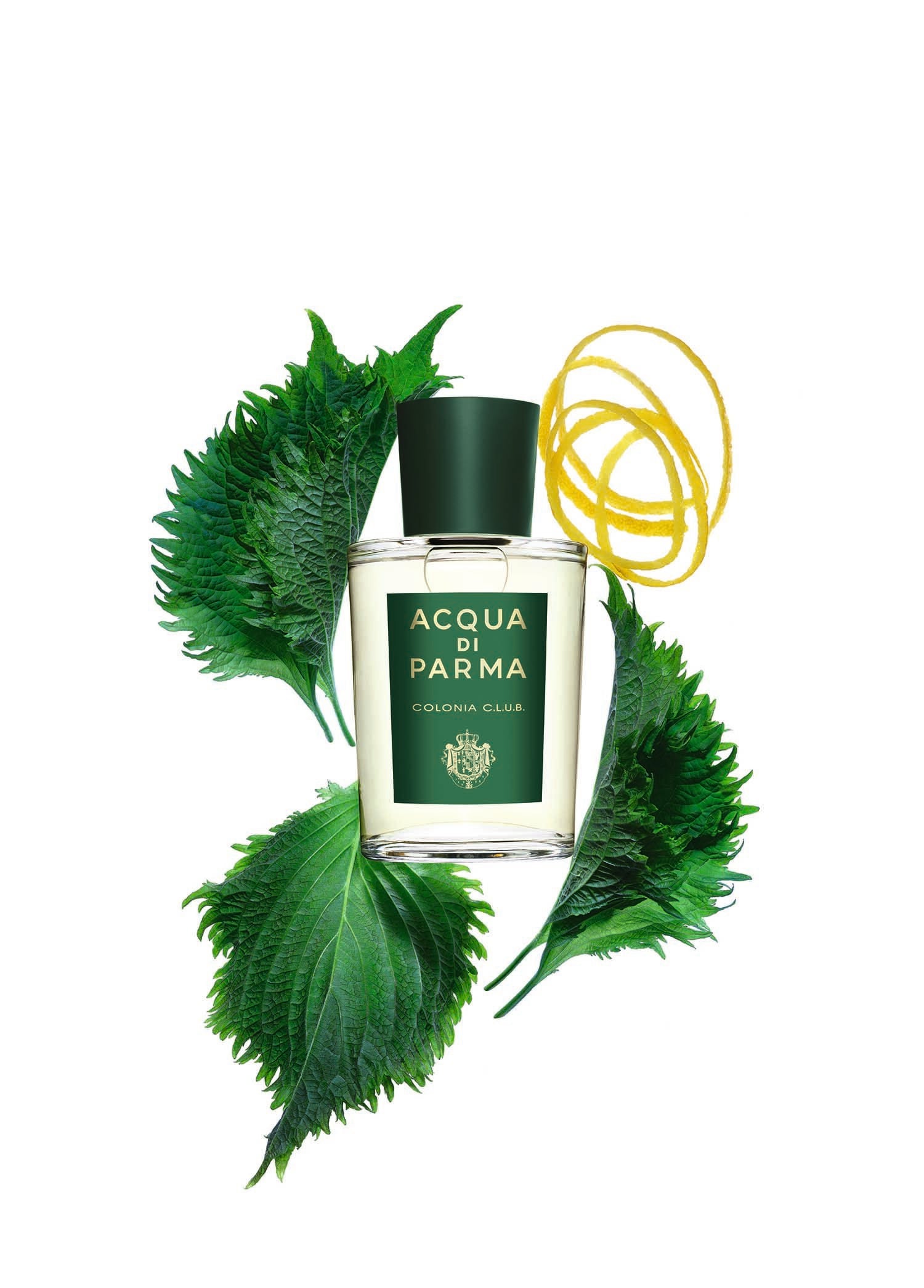 Colonia C L U B EDC 100 ml Parfüm