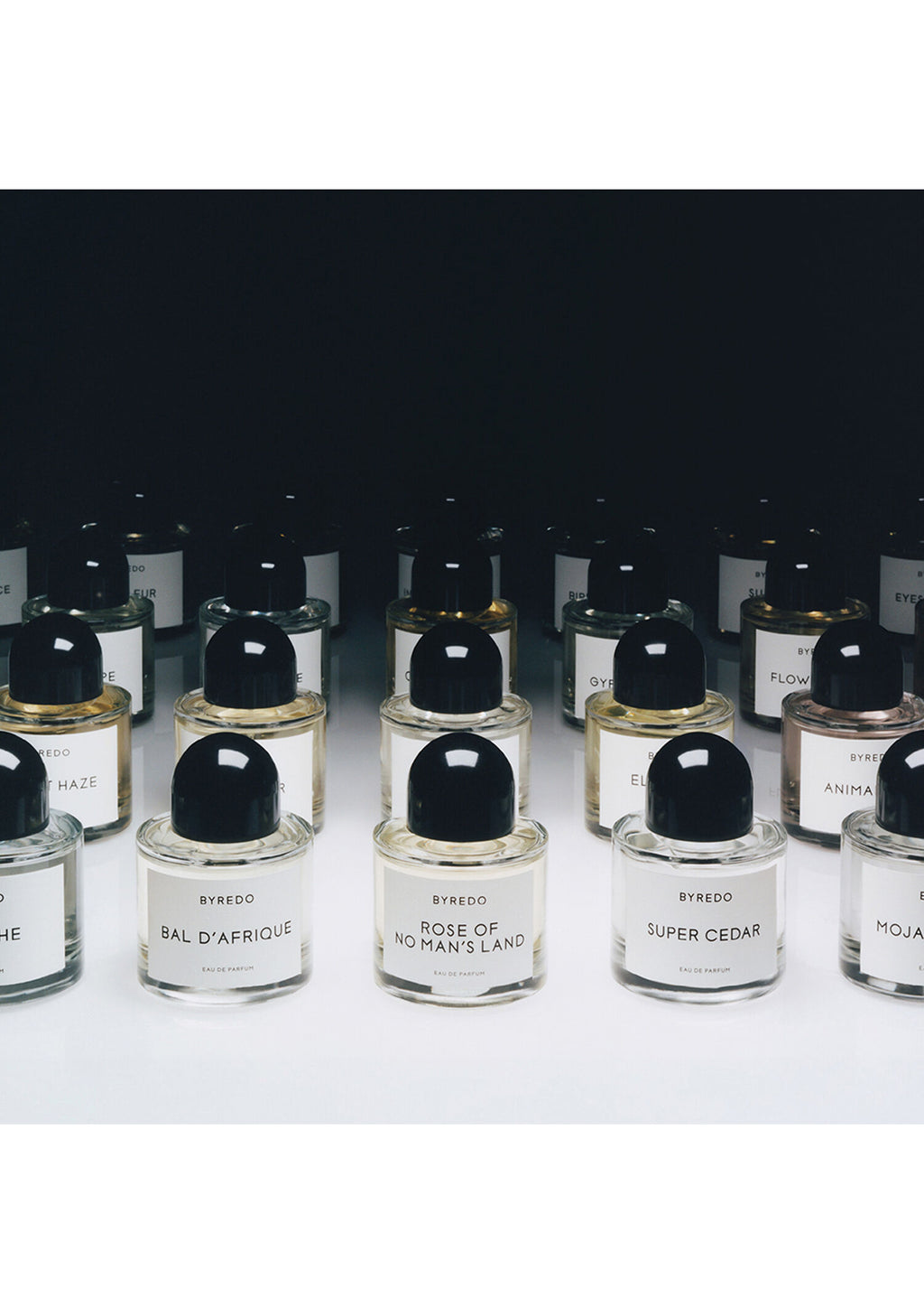 EDP Mumbai Noise 100ml