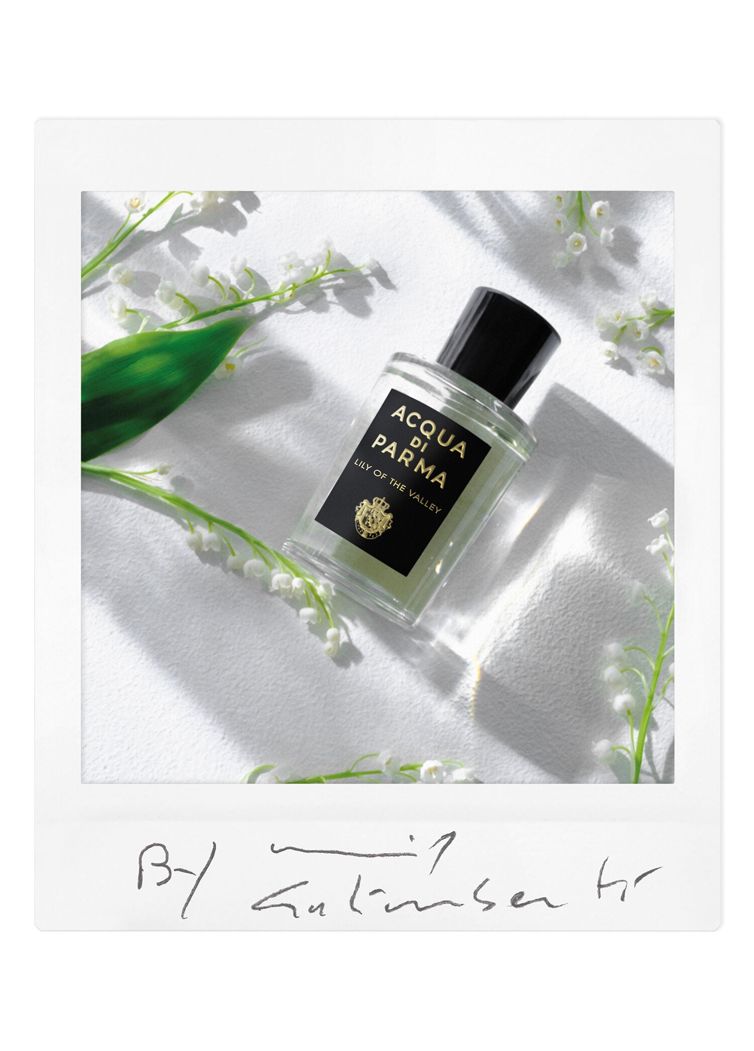Sıgrnature Lıly Of The Valley Edp 180 ml