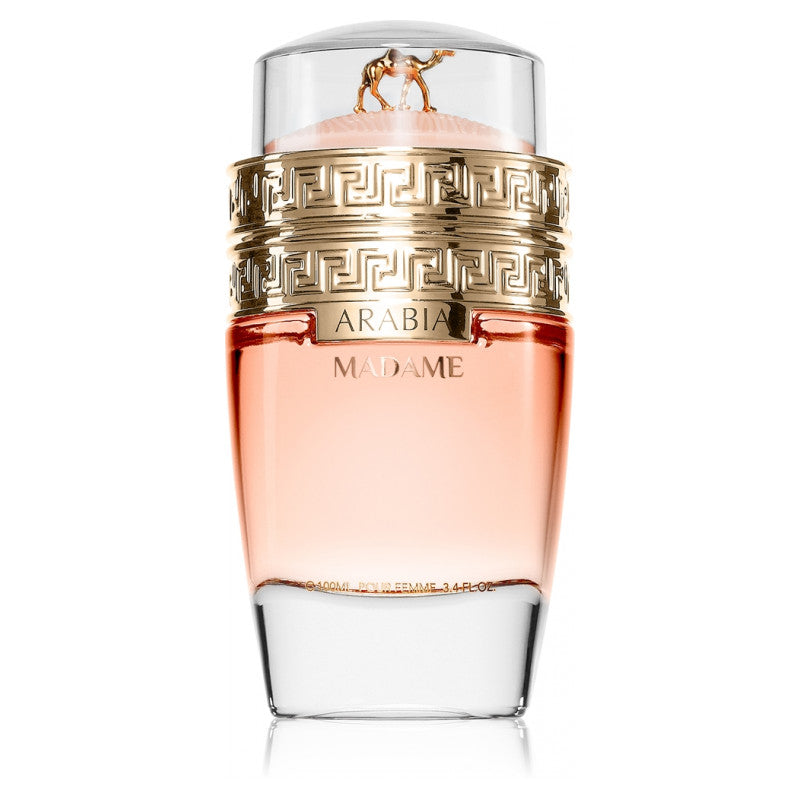 Le Chameau Arabia Madame