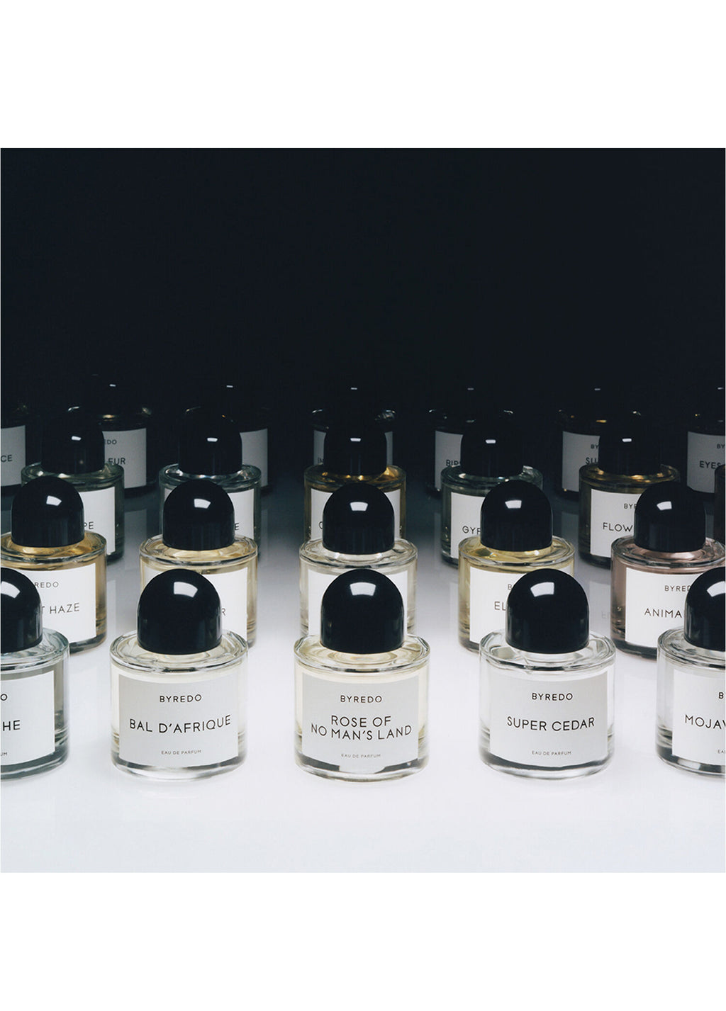 Blanche Absolu Edp 100 ml Unisex Parfüm