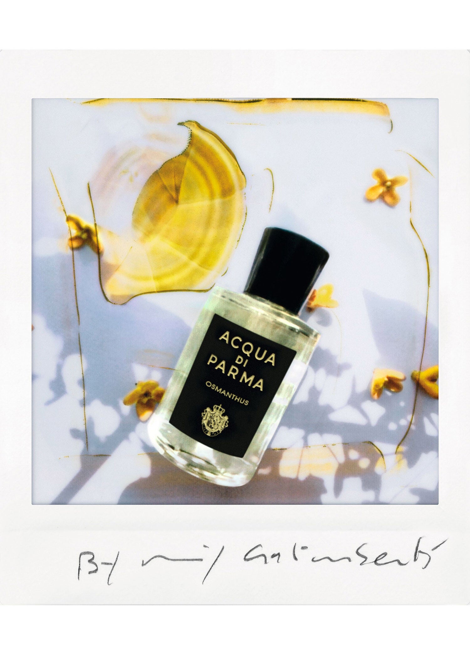 Signature Osmanthus EDP 180 ml Parfüm